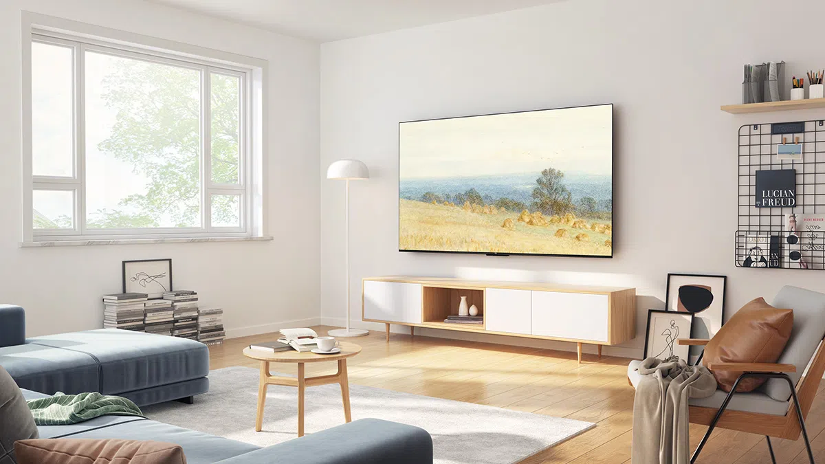 Television in a light-filled living room